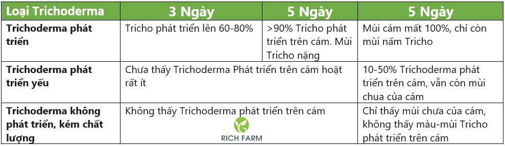 Kết quả nghiên cứu Trichoderma